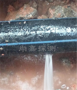 上海消防管道漏点探测